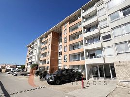 3 chambre Appartement for sale in Coquimbo, Coquimbo, Elqui, Coquimbo