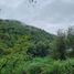  Terreno (Parcela) en venta en Llanquihue, Los Lagos, Cochamo, Llanquihue