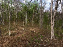  Terreno (Parcela) en venta en Dist Pochutla, Oaxaca, Dist Pochutla