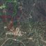  Terreno (Parcela) en venta en Dist Pochutla, Oaxaca, Dist Pochutla