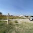  Land for rent in San Jeronimo Tecuanipan, Puebla, San Jeronimo Tecuanipan