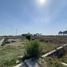  Land for rent in San Jeronimo Tecuanipan, Puebla, San Jeronimo Tecuanipan