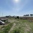  Land for rent in San Jeronimo Tecuanipan, Puebla, San Jeronimo Tecuanipan, Puebla