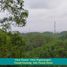  Land for sale in Tepus, Gunung Kidul, Tepus