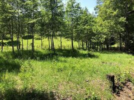  Terreno (Parcela) en venta en Araucanía, Pucón, Cautín, Araucanía