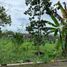 3 Habitación Villa en venta en Seyegan, Yogyakarta, Seyegan