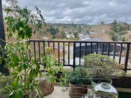 2 Bedroom Condo for sale in Los Lagos, Puerto Varas, Llanquihue, Los Lagos