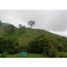  Land for sale in Caldas, Manizales, Caldas