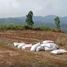  Terrain for sale in Sukabumi, West Jawa, Sukabumi, Sukabumi