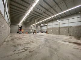 675 m2 Office for rent in Coahuila, Matamoros, Coahuila