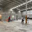 675 m2 Office for rent in Coahuila, Matamoros, Coahuila
