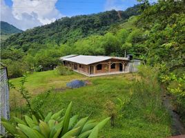 4 Habitación Casa en venta en Colombia, Toro, Valle Del Cauca, Colombia