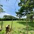  Land for sale in Cali, Valle Del Cauca, Cali