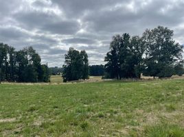  Land for sale in Llanquihue, Los Lagos, Frutillar, Llanquihue