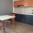 Studio Apartment for rent in Carmen, Campeche, Carmen, Campeche