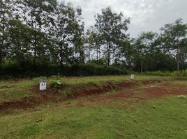  Land for sale in Wonogiri, Jawa Tengah, Ngadirojo, Wonogiri