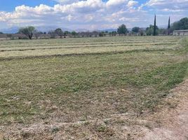  Grundstück zu verkaufen in Tehuacan, Puebla, Tehuacan