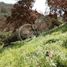  Land for sale in Chile, Santiago, Santiago, Santiago, Chile