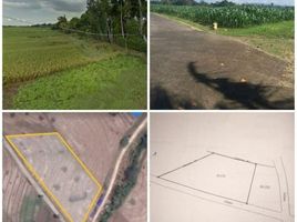  Land for sale in Kerambitan, Tabanan, Kerambitan