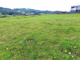  Land for sale in Envigado, Antioquia, Envigado