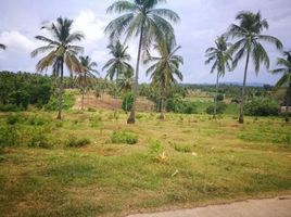  Terreno (Parcela) en venta en Gitagum, Misamis Oriental, Gitagum