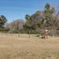  Land for sale in Santa Fe, Rosario, Santa Fe