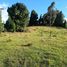  Land for sale in Sopo, Cundinamarca, Sopo