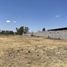  Terreno (Parcela) en venta en Irapuato, Guanajuato, Irapuato