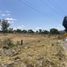  Terreno (Parcela) en venta en Irapuato, Guanajuato, Irapuato