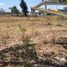  Terreno (Parcela) en venta en Irapuato, Guanajuato, Irapuato