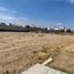  Land for rent in San Agustin Tlaxiaca, Hidalgo, San Agustin Tlaxiaca, Hidalgo