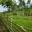 Terrain à vendre à Santa Rosa De Cabal, Risaralda, Santa Rosa De Cabal
