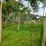 Terrain à vendre à Santa Rosa De Cabal, Risaralda, Santa Rosa De Cabal
