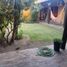 5 Schlafzimmer Haus zu verkaufen in San Rafael, Mendoza, San Rafael