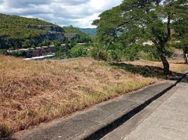  Terreno (Parcela) en venta en Liloan, Central Visayas, Liloan