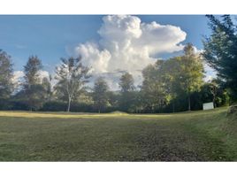  Terreno (Parcela) en venta en Rionegro, Antioquia, Rionegro, Antioquia, Colombia
