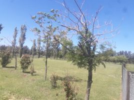  Land for sale in Santa Fe, Rosario, Santa Fe