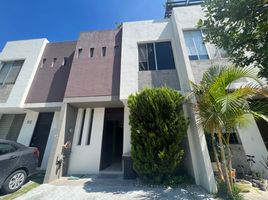Maison 3 chambre à louer à Zapopan, Jalisco, Zapopan
