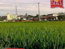  Land for sale in Sumedang, West Jawa, Cikeruh, Sumedang