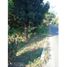  Land for sale in Mazatan, Chiapas, Mazatan