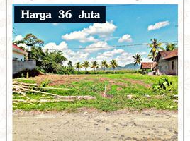  Tanah for sale in Banyuwangi, East Jawa, Gambiran, Banyuwangi