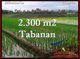  Tanah for sale in Selemadeg, Tabanan, Selemadeg