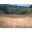  Land for sale in Rionegro, Antioquia, Rionegro