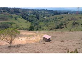  Land for sale in Rionegro, Antioquia, Rionegro