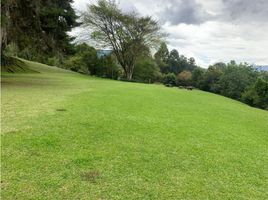  Land for sale in El Tesoro Parque Comercial, Medellin, Envigado