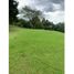  Land for sale in El Tesoro Parque Comercial, Medellin, Envigado