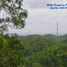  Land for sale in Tepus, Gunung Kidul, Tepus