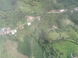  Terreno (Parcela) en venta en Sonson, Antioquia, Sonson