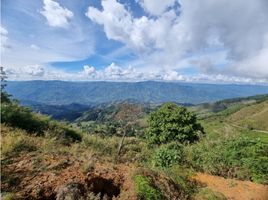  Land for sale in El Tesoro Parque Comercial, Medellin, Medellin
