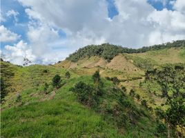  Land for sale in El Tesoro Parque Comercial, Medellin, Medellin